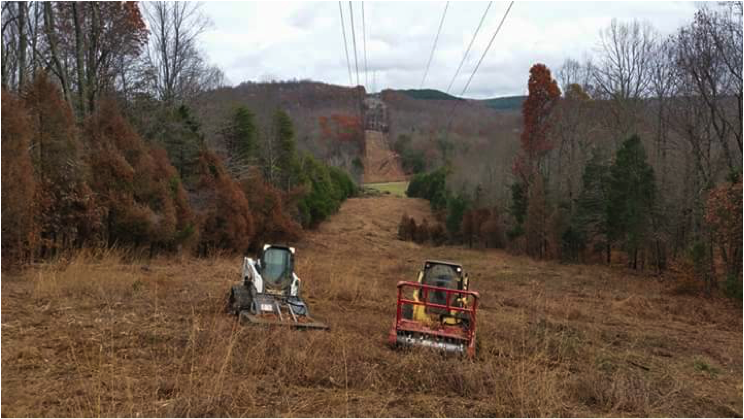 land-brush-clearing